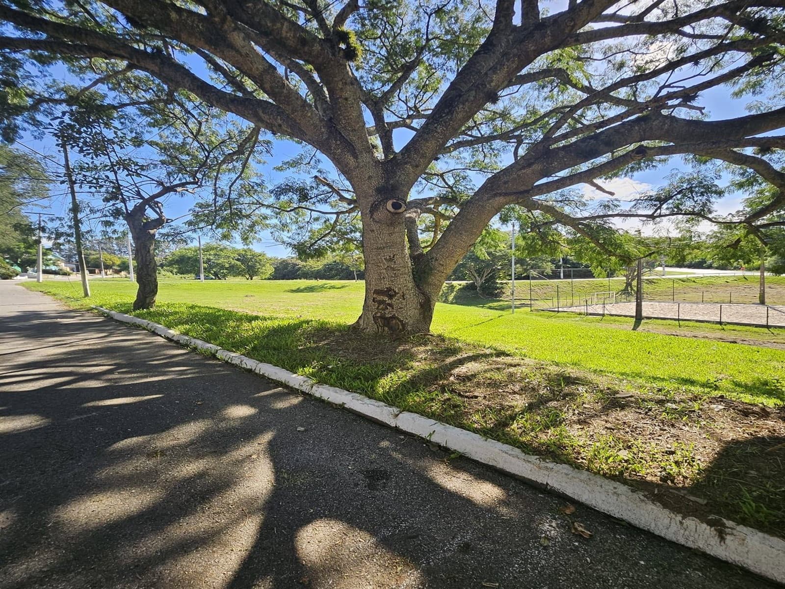 Imagem de capa da notícia: Vila Residencial está recebendo corte de grama